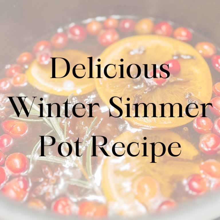 The Best Winter and Fall Simmer Pot Recipe