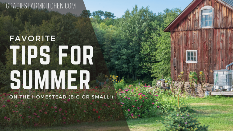 Favorite Tips for Summer on the Homestead